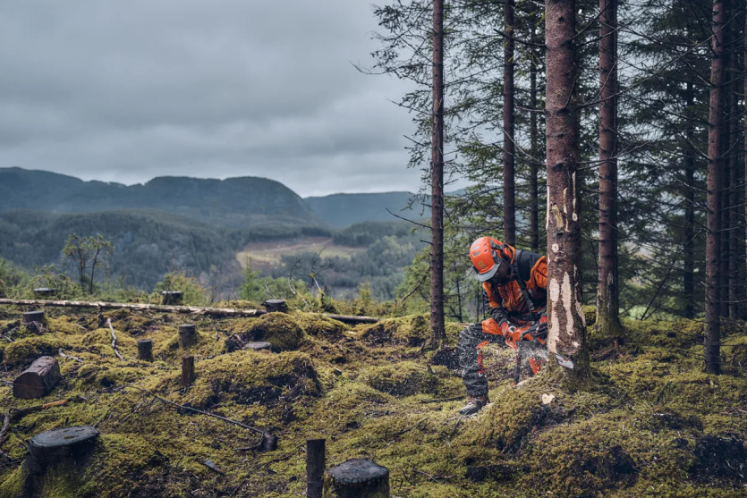 Husqvarna 540 xp značka iii ZVF08J78 nástrojov